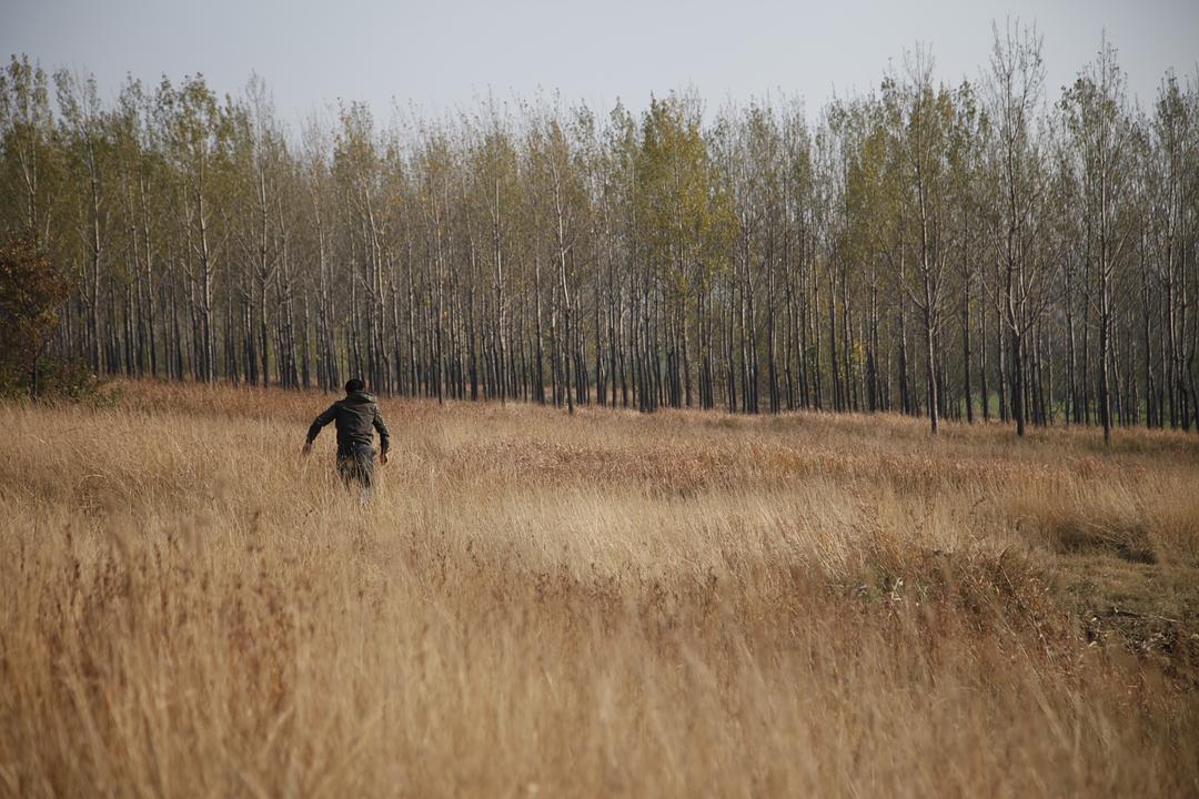 《心迷宫》剧照第10张图片