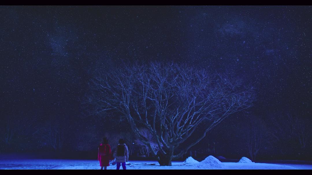 《只有我不存在的城市》剧照