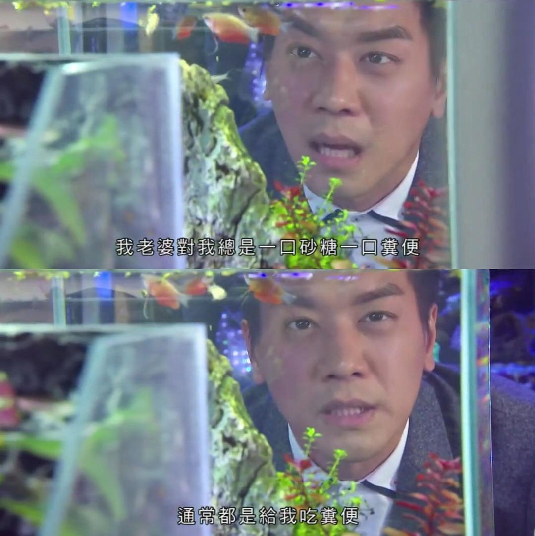 《BB来了》剧照第2张图片