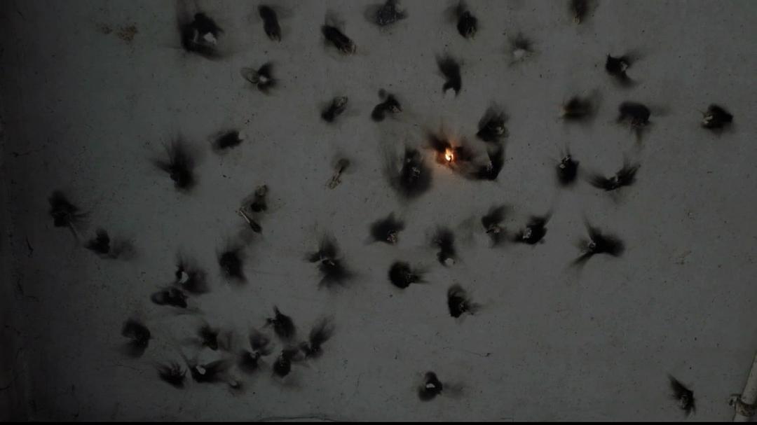 《大象席地而坐》剧照第43张图片