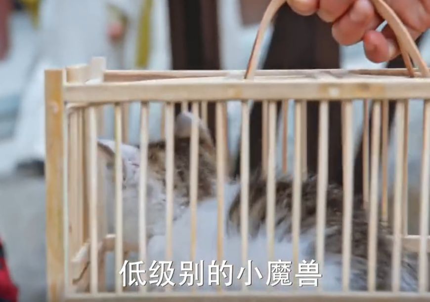 《斗破苍穹》剧照