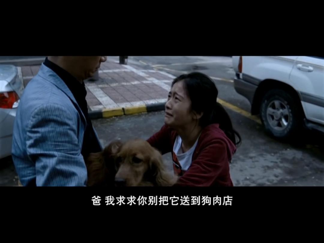 《狗十三》剧照第27张图片