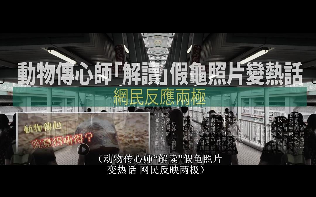 《向西闻记》剧照第24张图片