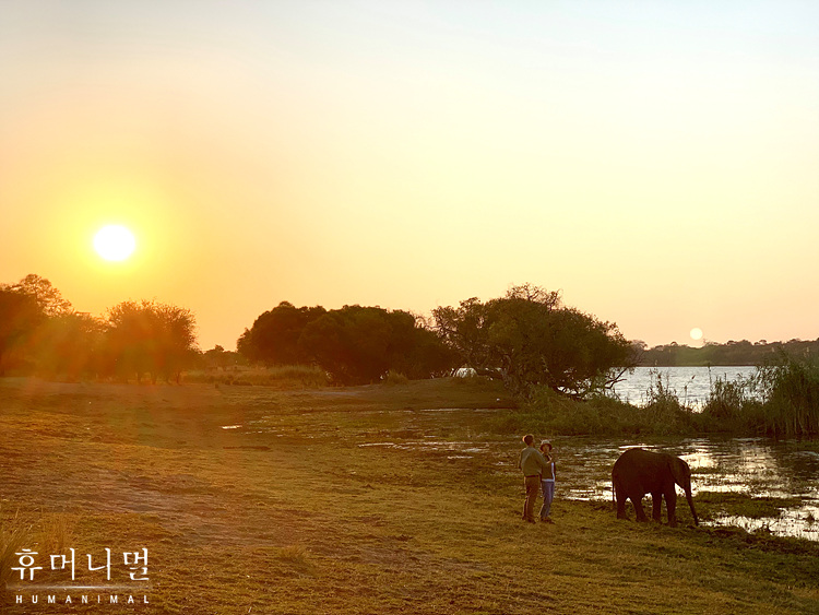 《人类-动物》海报第44张图片