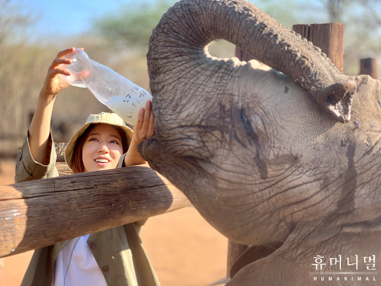 《人类-动物》海报第43张图片