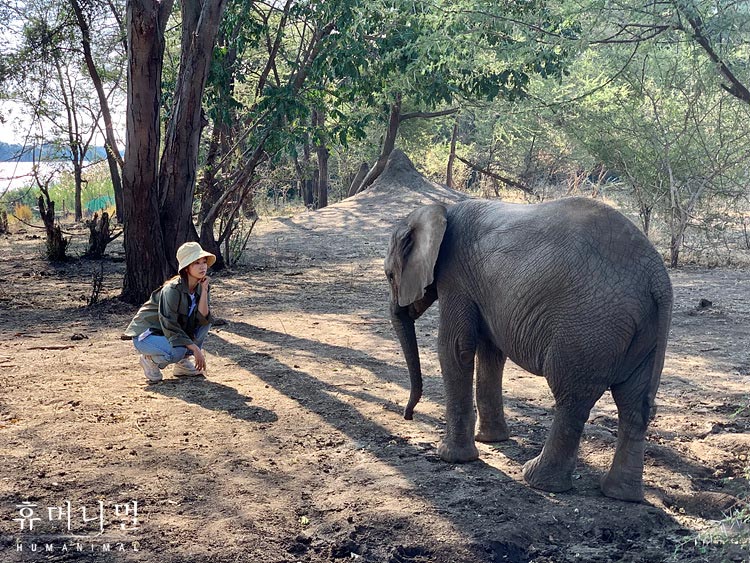 《人类-动物》海报第42张图片