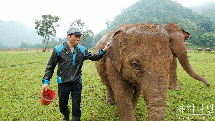 《人类-动物》海报第34张图片