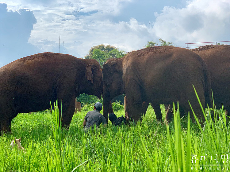 《人类-动物》海报第33张图片