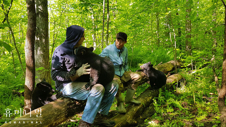 《人类-动物》海报第29张图片