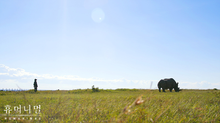 《人类-动物》海报第28张图片