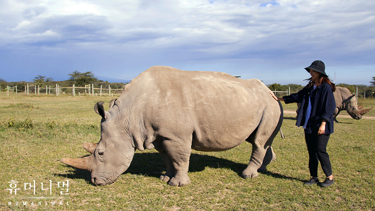 《人类-动物》海报第27张图片