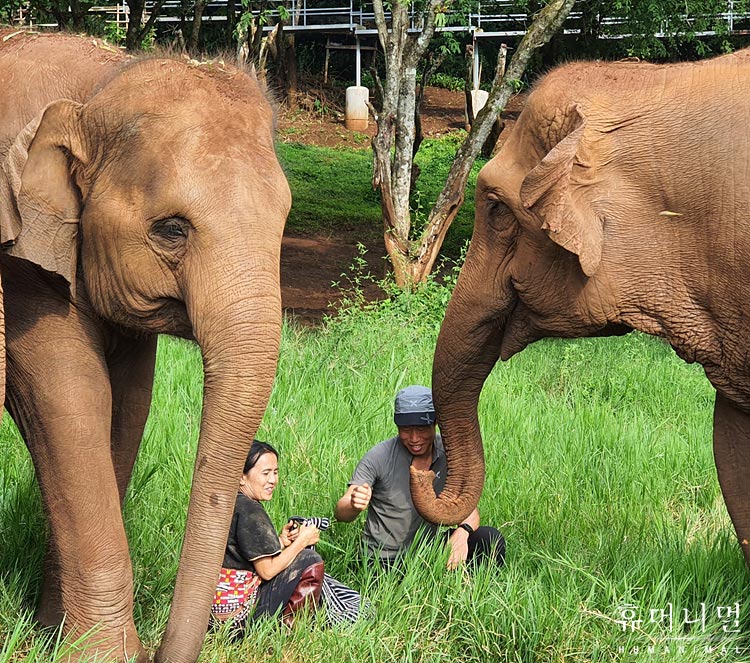 《人类-动物》海报第20张图片