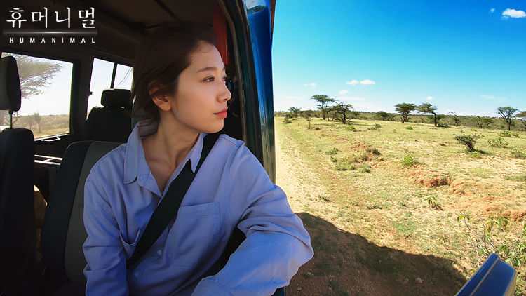 《人类-动物》海报第1张图片