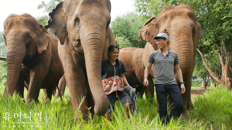 《人类-动物》海报第11张图片