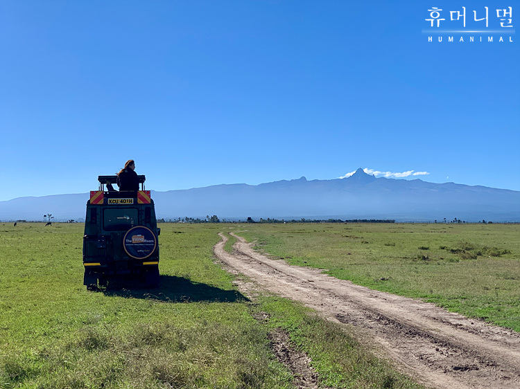 《人类-动物》海报第10张图片