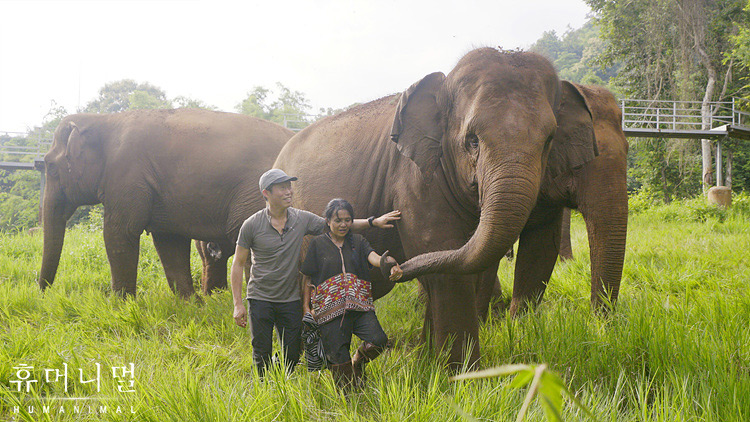 《人类-动物》海报第9张图片