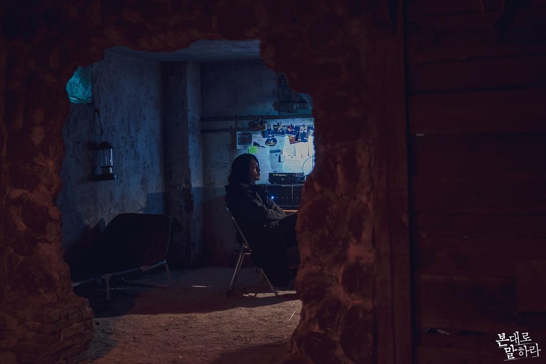 《如实陈述》海报第3张图片