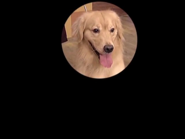 《窈窕熟女》剧照第25张图片