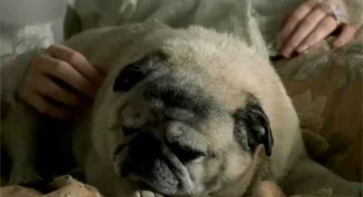 《大卫·科波菲尔》剧照第45张图片