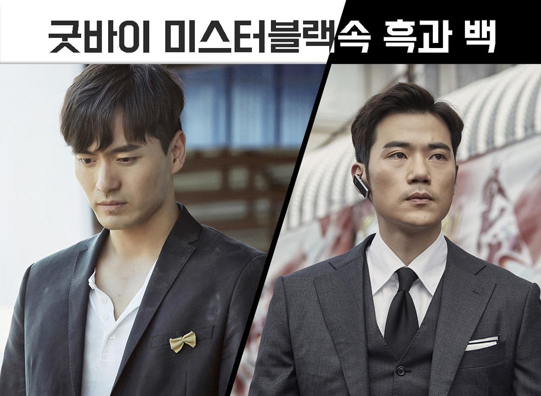 《再见，布莱克先生》海报第45张图片