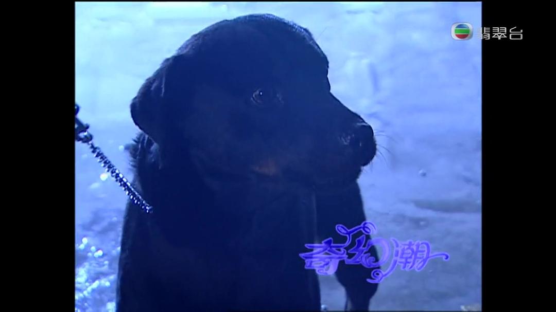 《奇幻潮》海报第33张图片