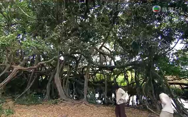 《致命复活》剧照第23张图片