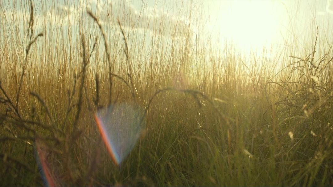 《赴汤蹈火》海报第49张图片