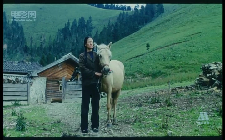 《香巴拉信使》剧照第5张图片