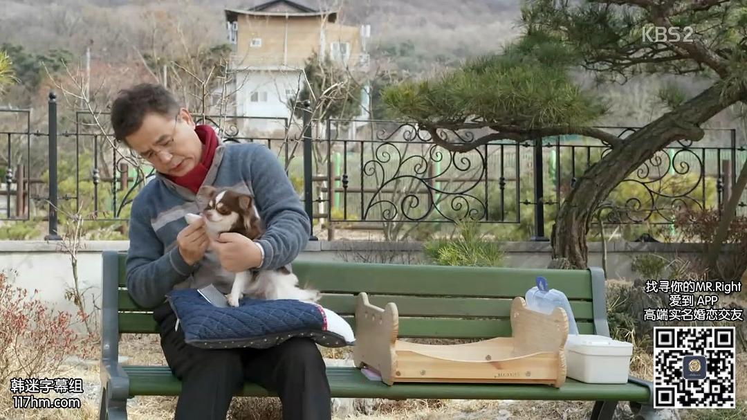 《爸爸好奇怪》剧照第51张图片