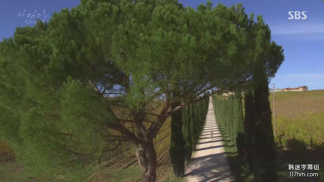 《师任堂：光的日记》海报第40张图片