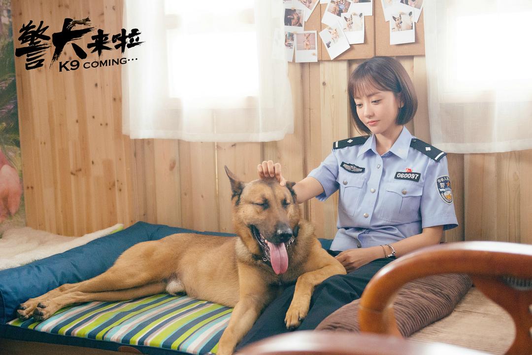 《警犬来啦》剧照