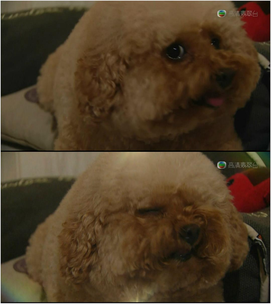 《爱我请留言》剧照第3张图片