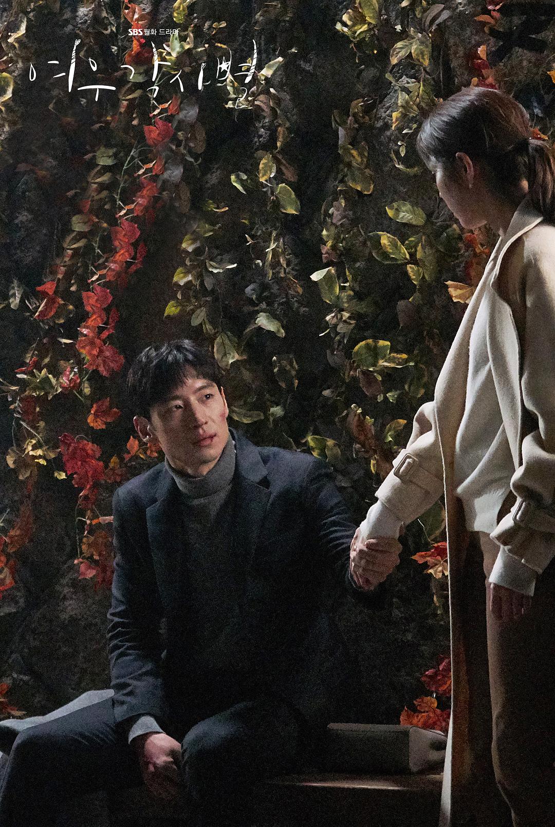 《狐狸新娘星》海报