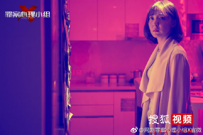 《罪案心理小组X》剧照第6张图片