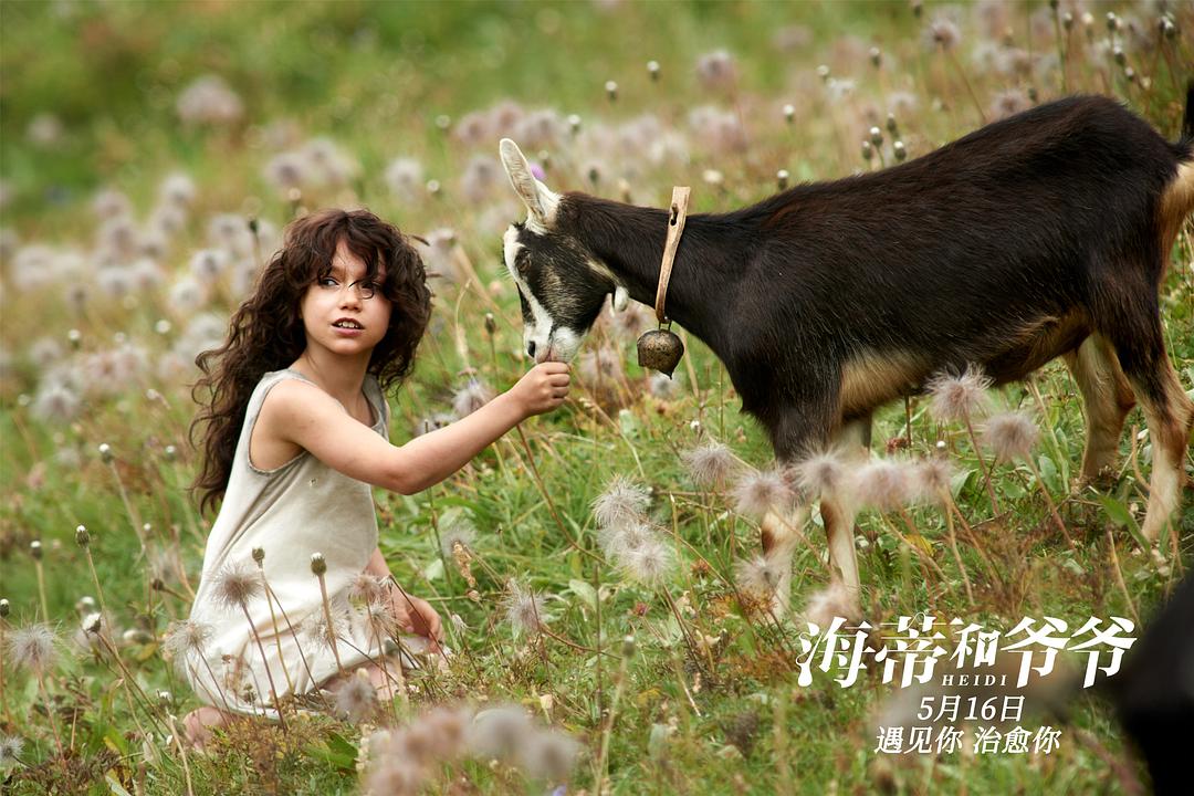 《海蒂和爷爷》剧照第27张图片