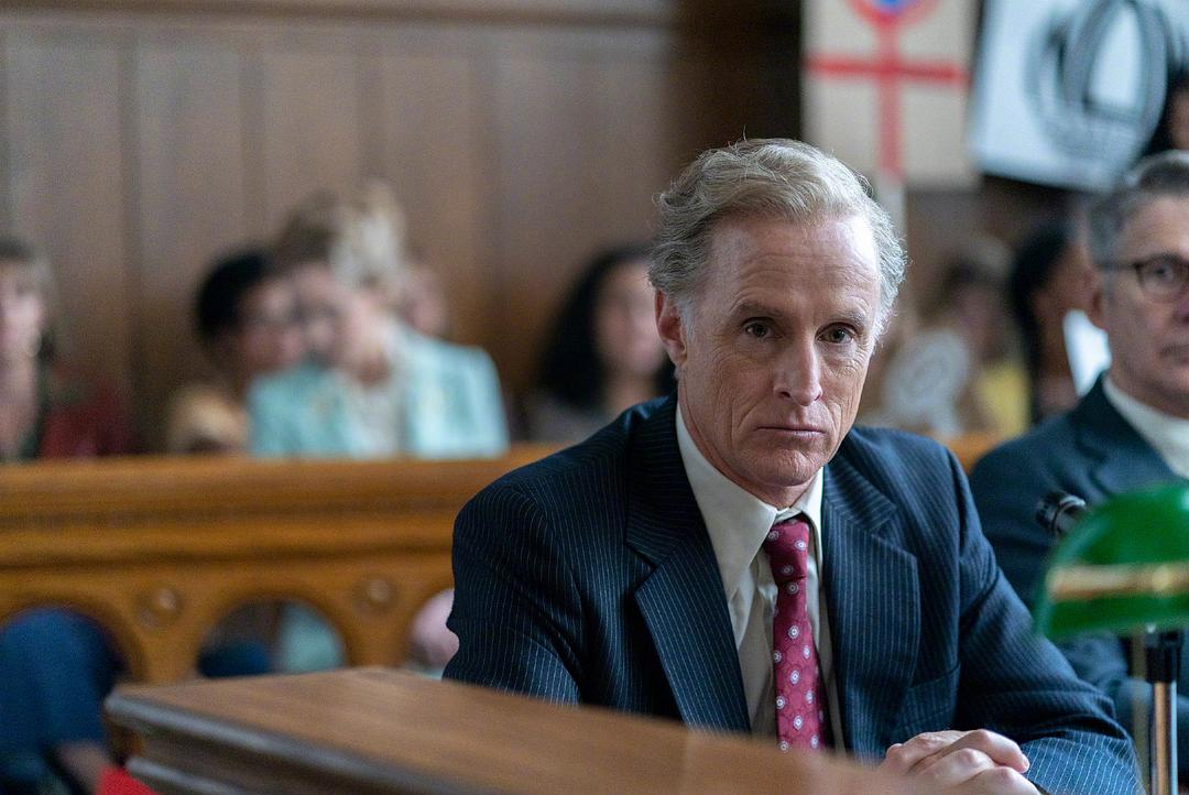 《美国夫人》海报第28张图片