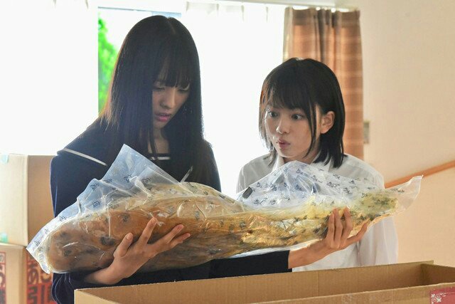 《新手姐妹的双人餐桌》海报