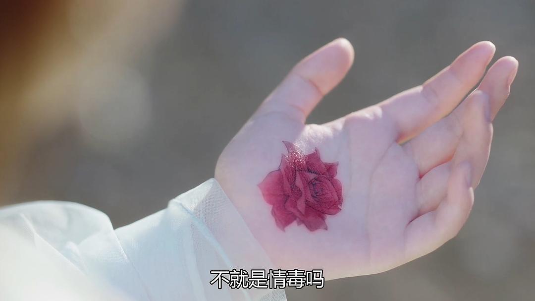 《天雷一部之春花秋月》剧照第46张图片