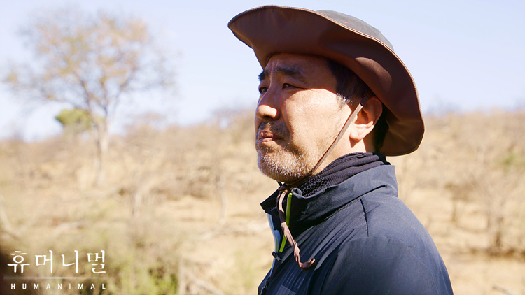 《人类-动物》海报第55张图片