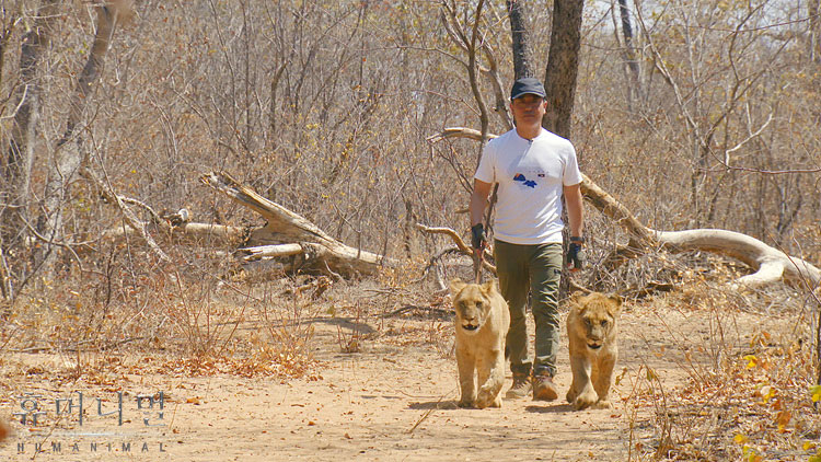 《人类-动物》海报第54张图片
