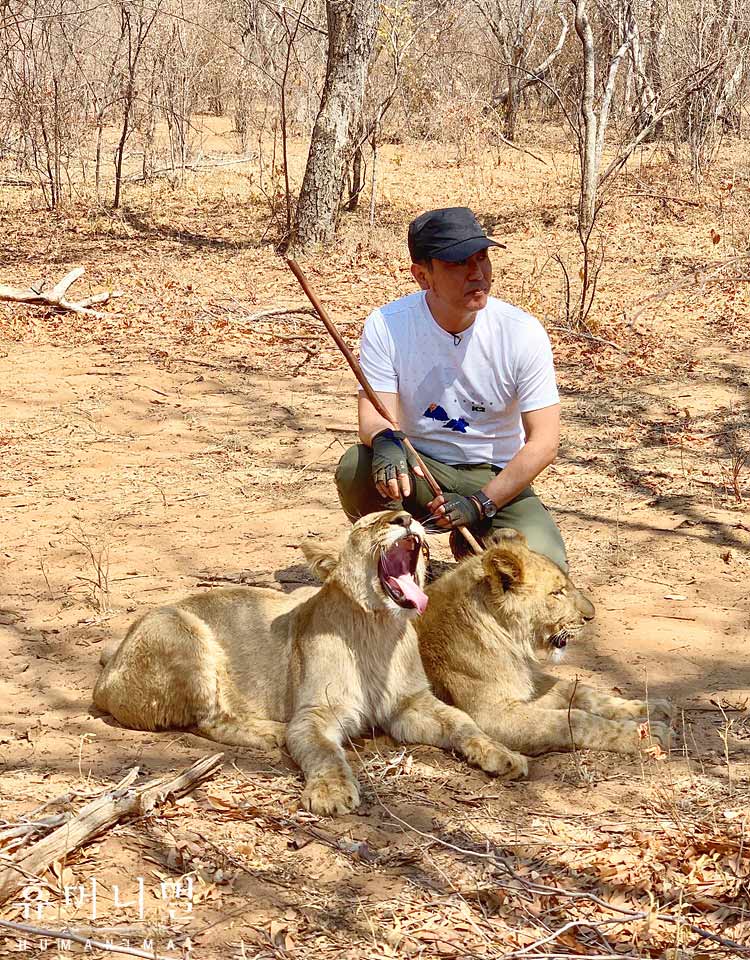 《人类-动物》海报第53张图片