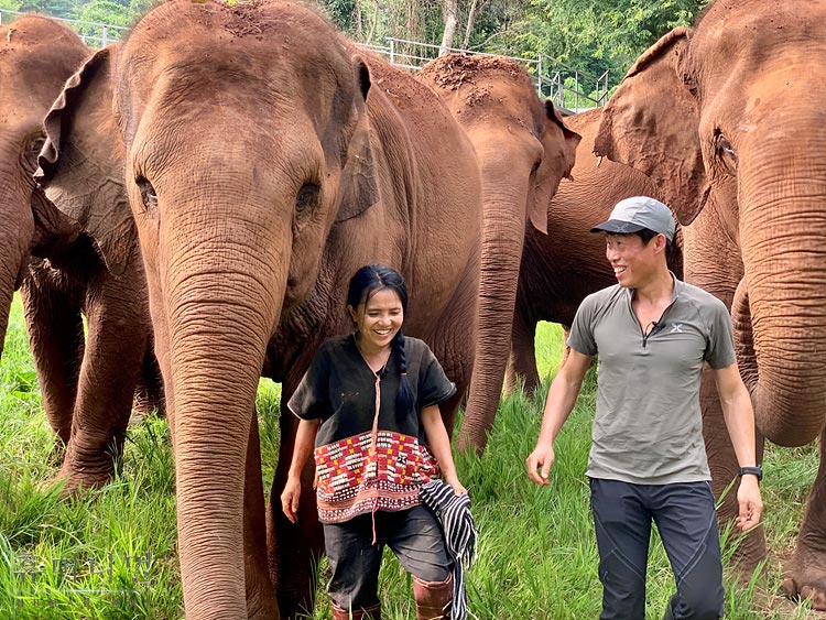 《人类-动物》海报第49张图片