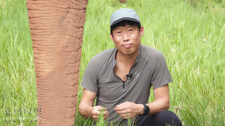 《人类-动物》海报第48张图片