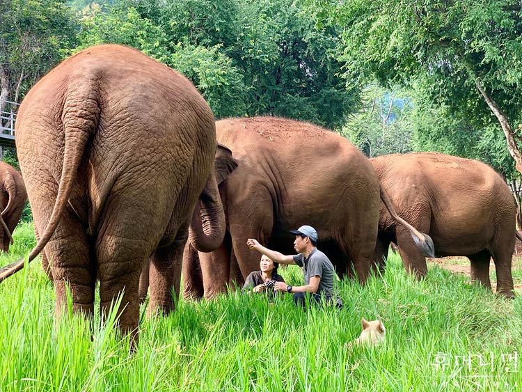 《人类-动物》海报第32张图片