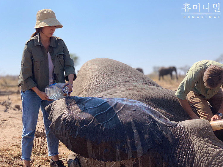 《人类-动物》海报第3张图片