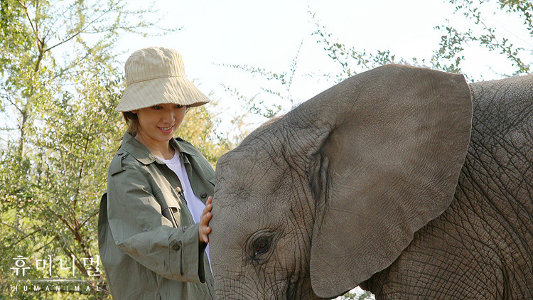 《人类-动物》海报第18张图片