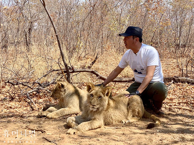 《人类-动物》海报第16张图片