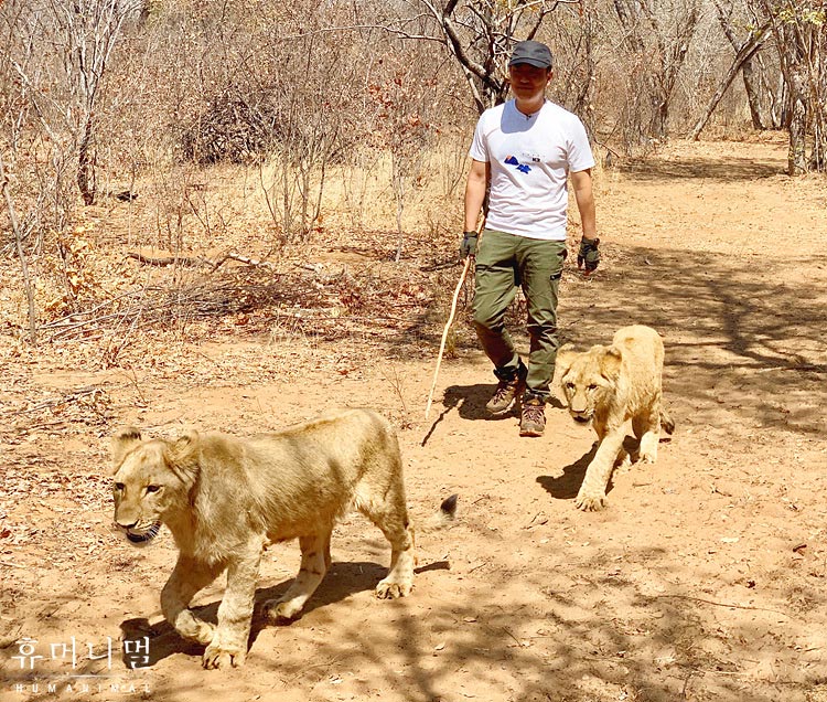 《人类-动物》海报第13张图片