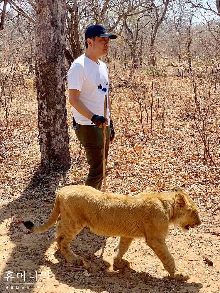 《人类-动物》海报第12张图片