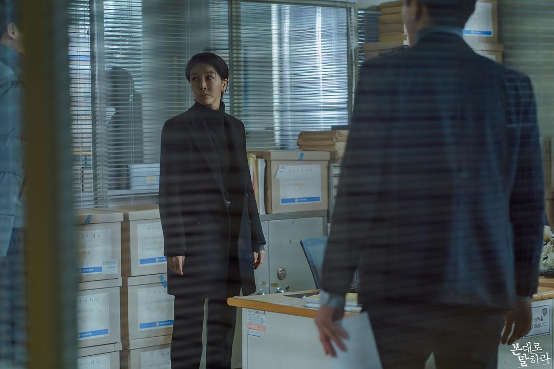 《如实陈述》海报第55张图片